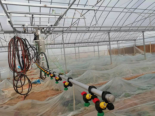 如何防 治溫室育苗的常見(jiàn)病害？