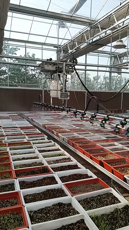 番茄育苗時(shí)使用溫室噴灌機(jī)應(yīng)該如何操作？